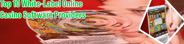 Casino online software provider
