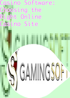 Casino software suppliers