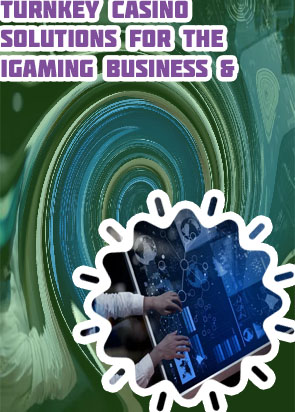 Igaming business software service companies