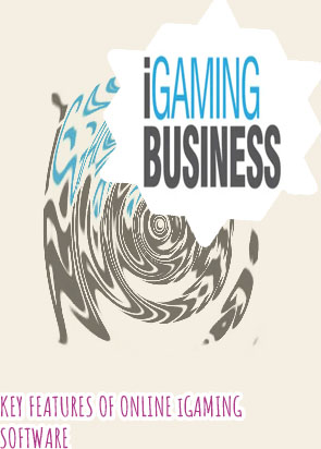 Software igaming